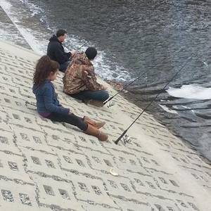 Meet your Posher, Sienna